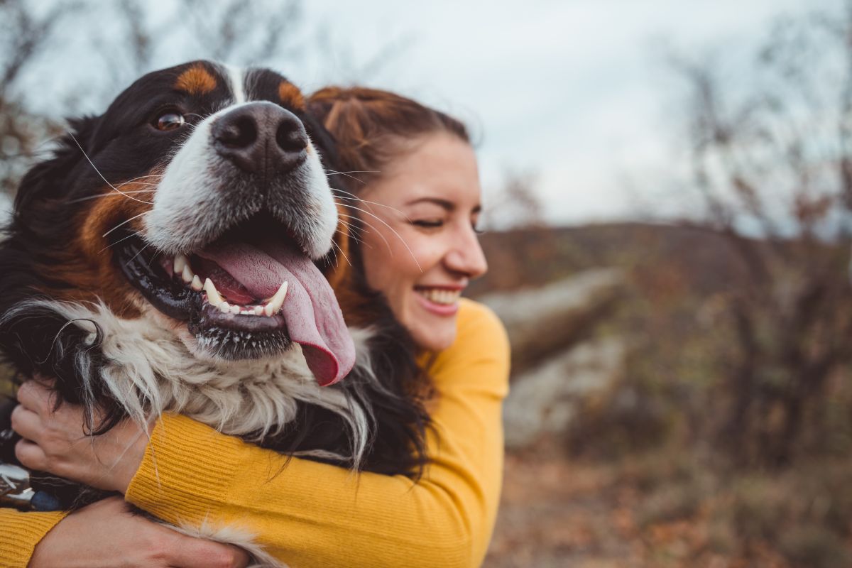  frau mit berner sennenhund 