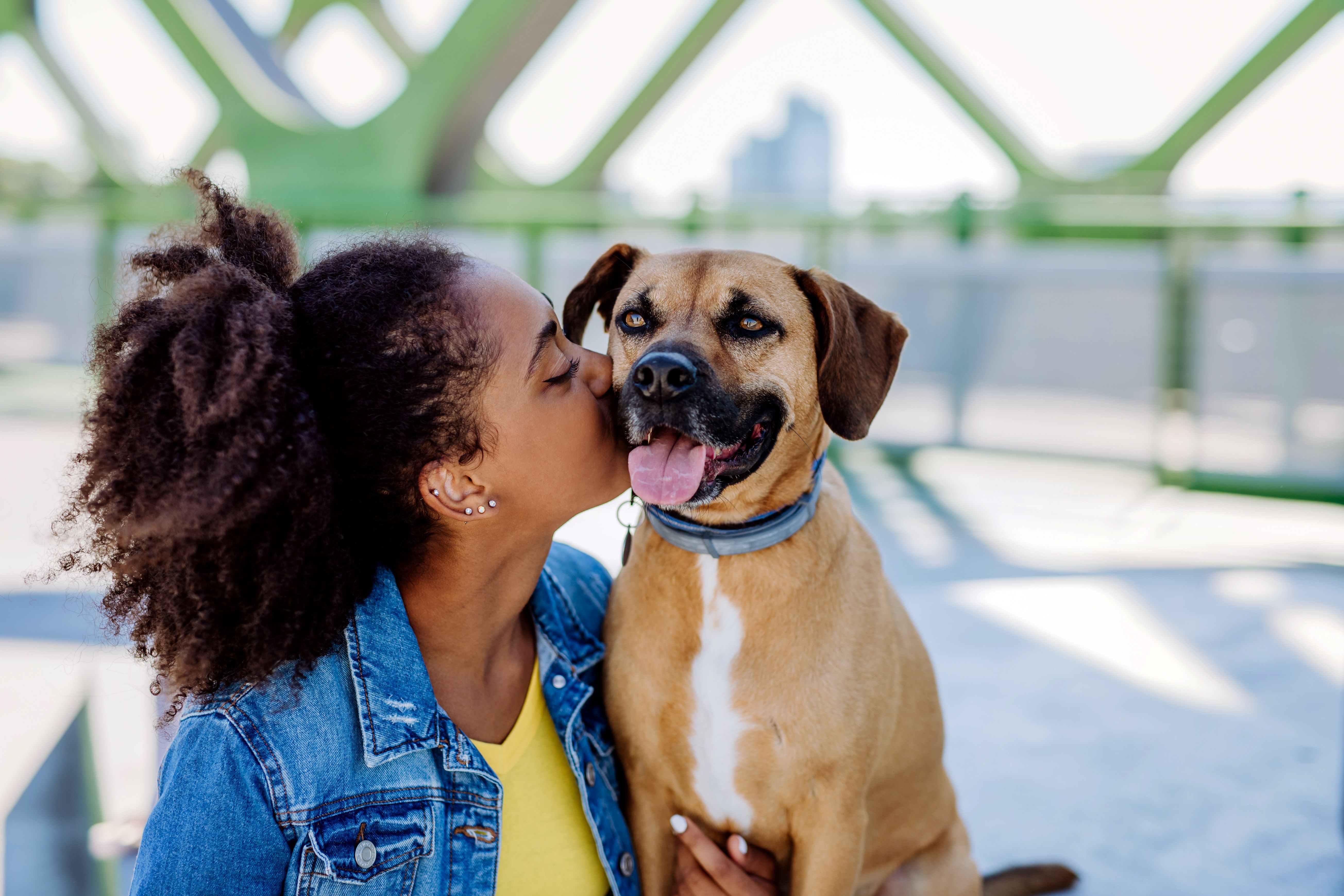  Eine Frau mit Hund auf der Rheinbrücke 