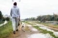 mann geht mit hund bei regen spazieren